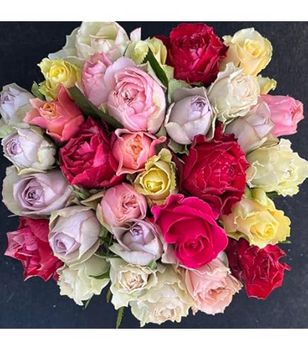 Amazon｜バラ 切り花・生花 ピンクミックス 30センチ 30本 薔薇 花束